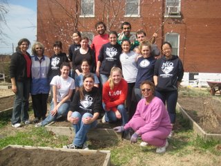 HALO members and local volunteers in garden