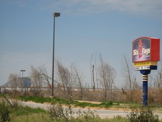 Trees stripped bare by hurricaine in front of Six Flags park