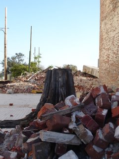 Tree stump and piles of bricks next to collapsed building