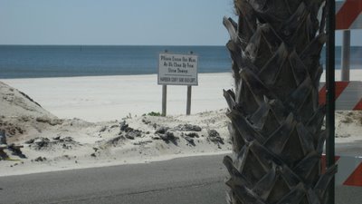 Debris covered beach with sign