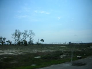 Empty lot with grass and trees